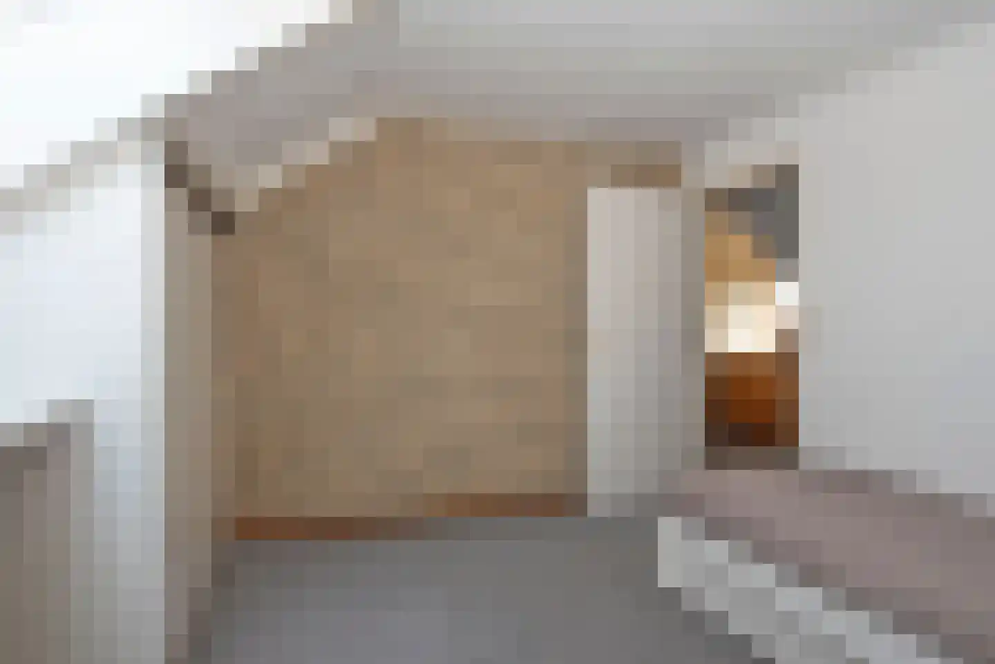 Langenhorsterweg 18 b Ambt Delden thumbnail 29