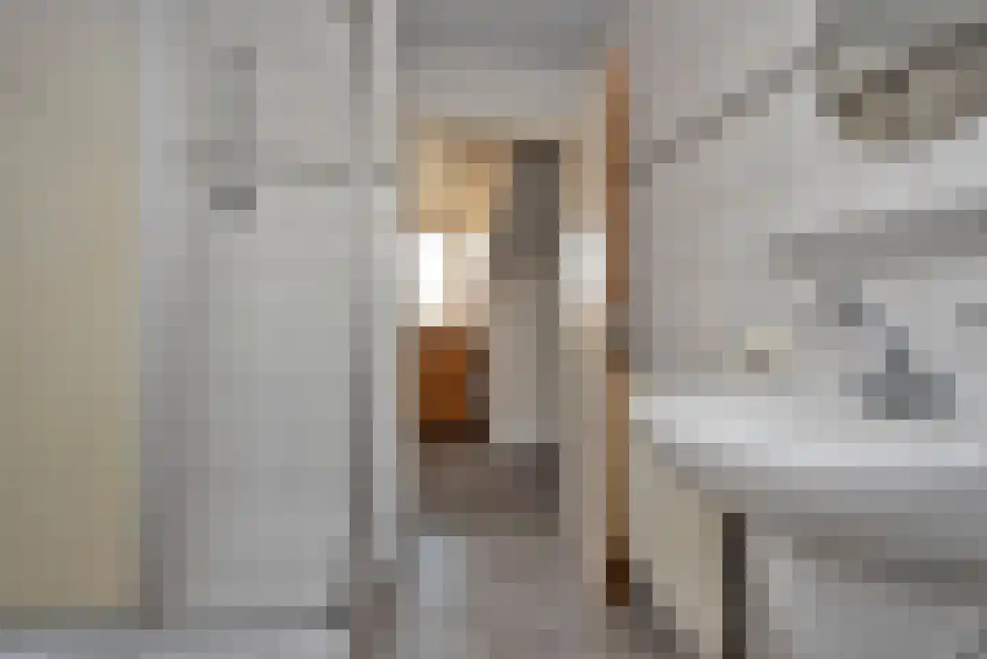 Langenhorsterweg 18 b Ambt Delden thumbnail 31