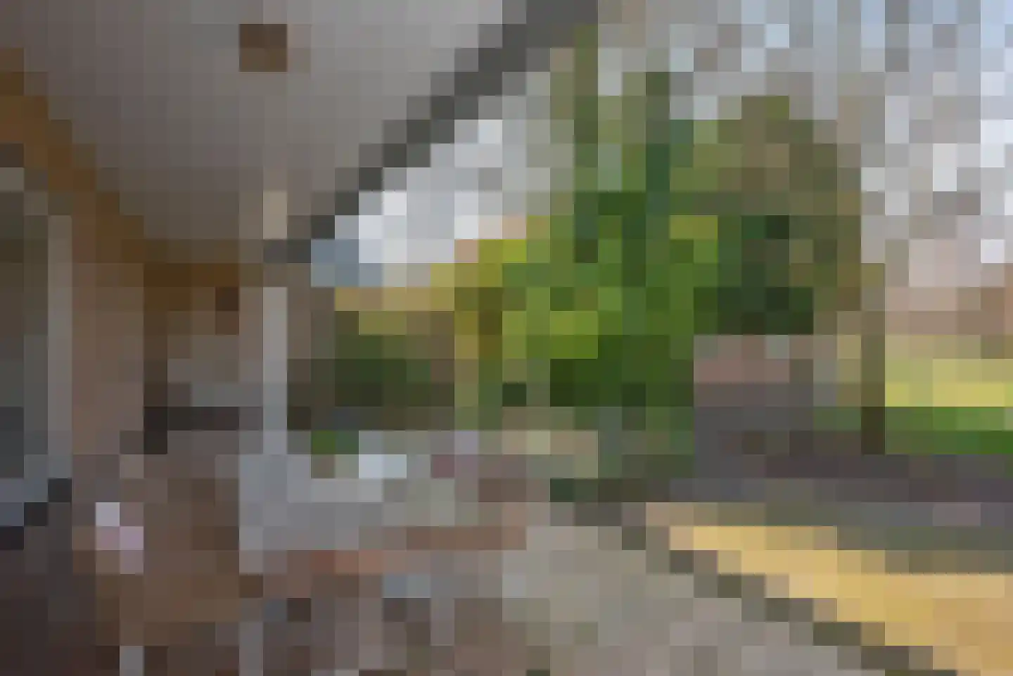 Langenhorsterweg 18 b Ambt Delden thumbnail 32