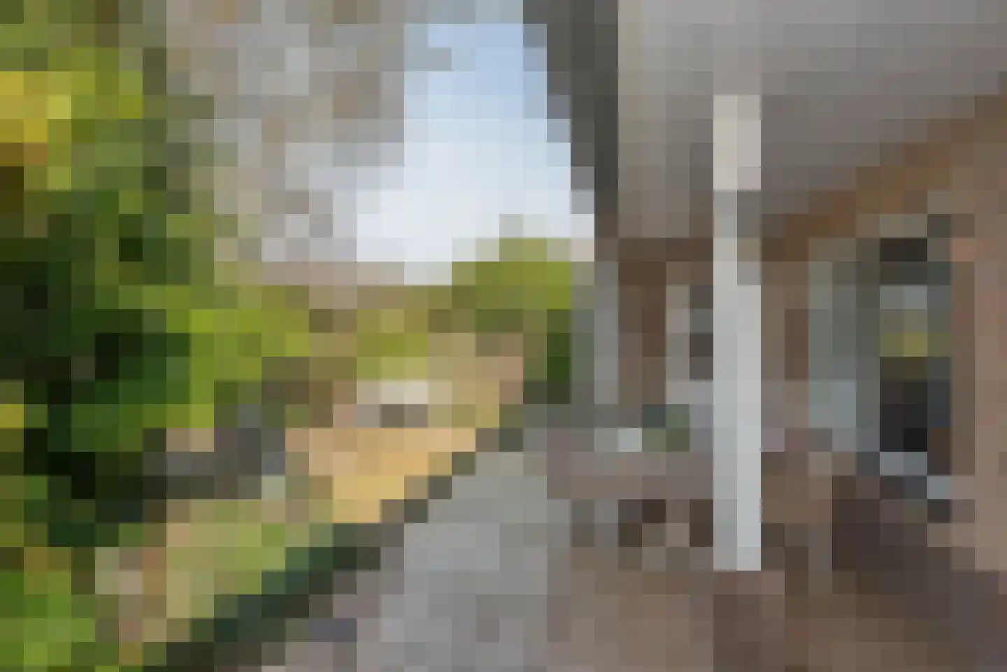 Langenhorsterweg 18 b Ambt Delden thumbnail 33