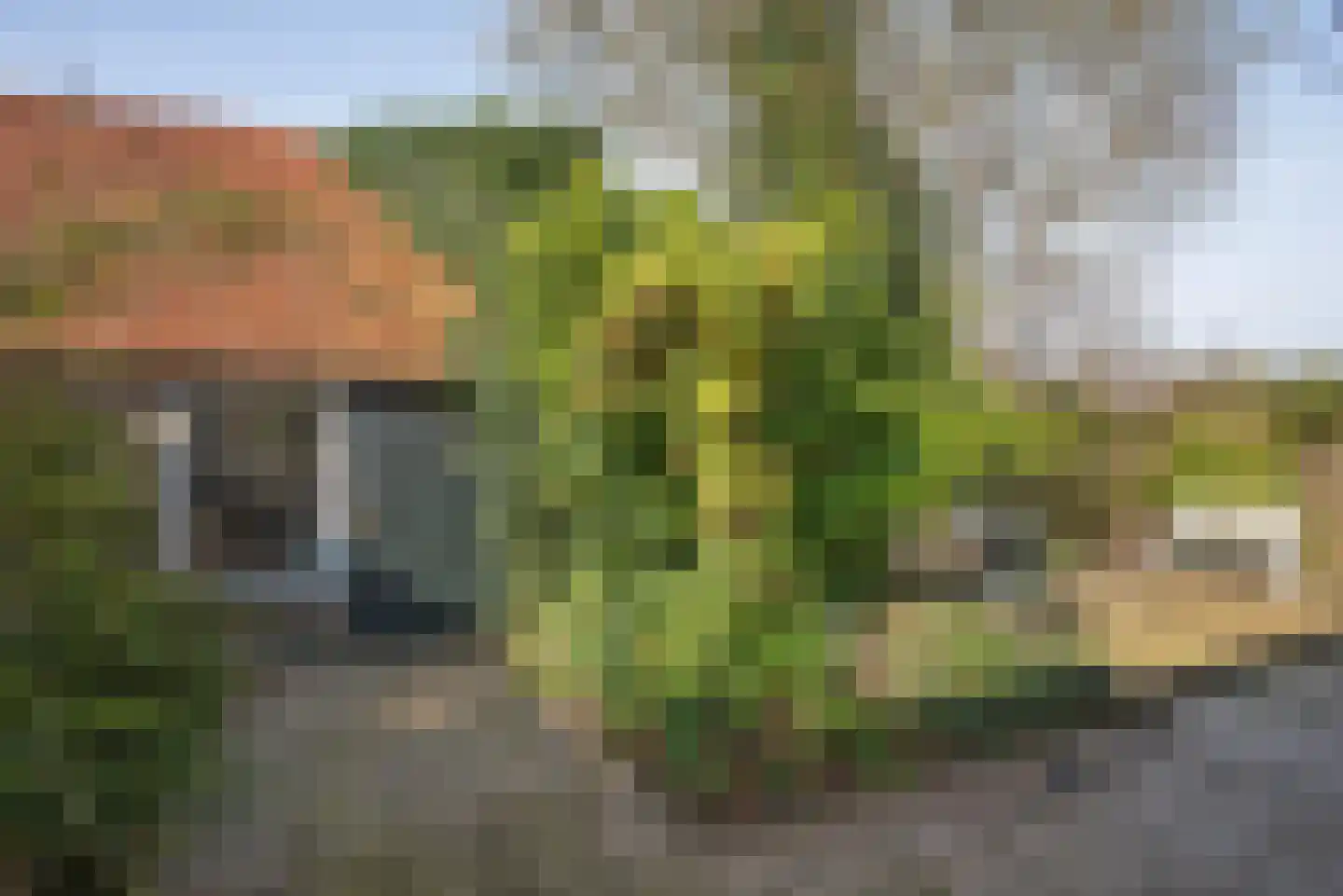 Langenhorsterweg 18 b Ambt Delden thumbnail 34