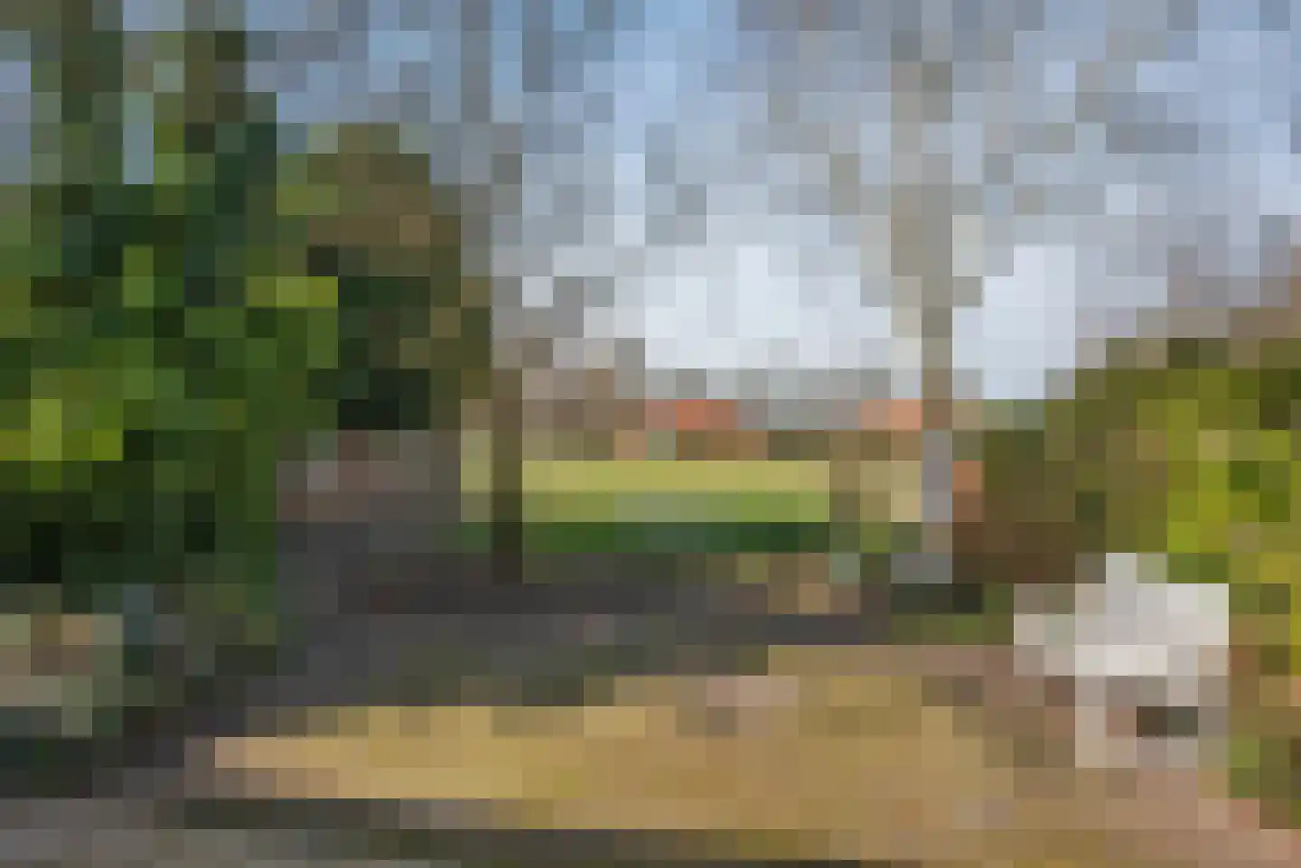 Langenhorsterweg 18 b Ambt Delden thumbnail 35