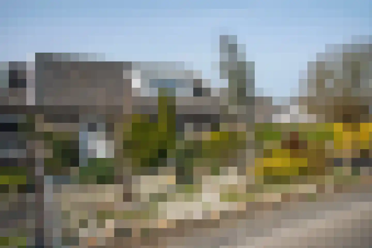 Langenhorsterweg 18 b Ambt Delden thumbnail 6
