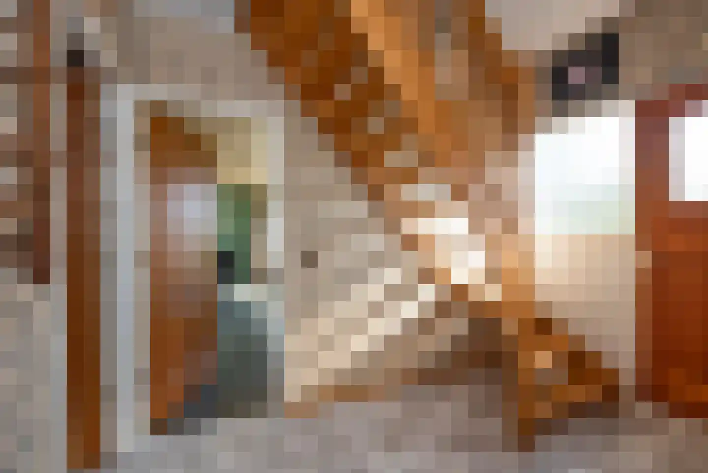 Langenhorsterweg 18 b Ambt Delden thumbnail 8
