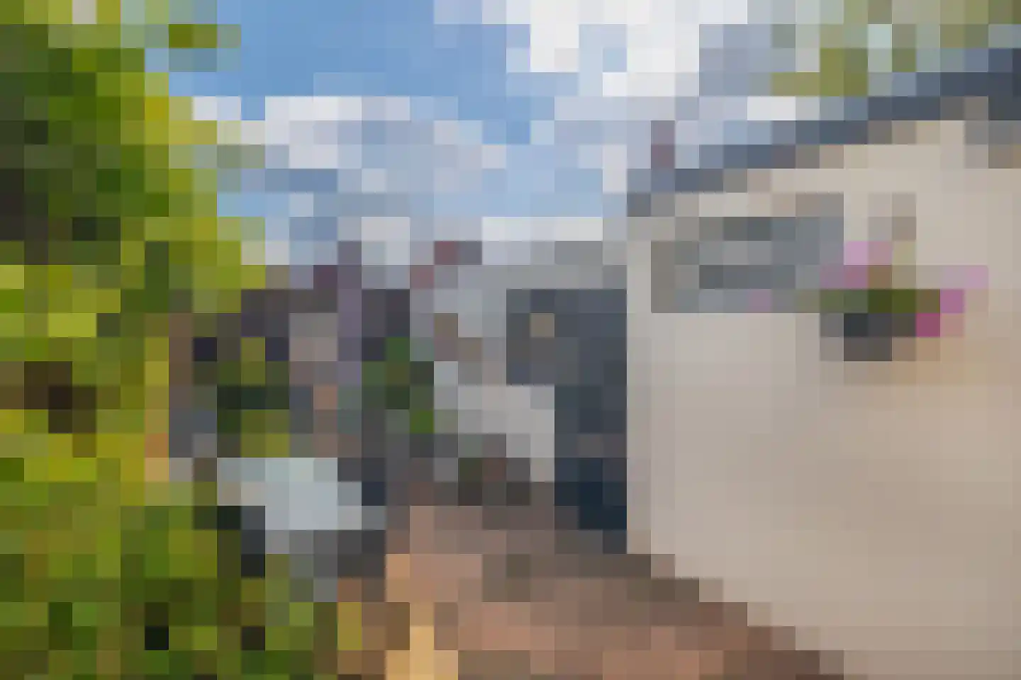 Langenoordstraat 119 Zevenbergen thumbnail 20
