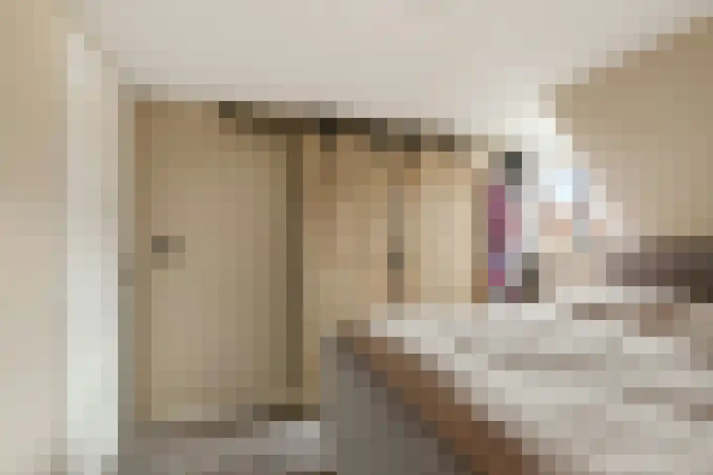 Langenoordstraat 25 Zevenbergen thumbnail 25