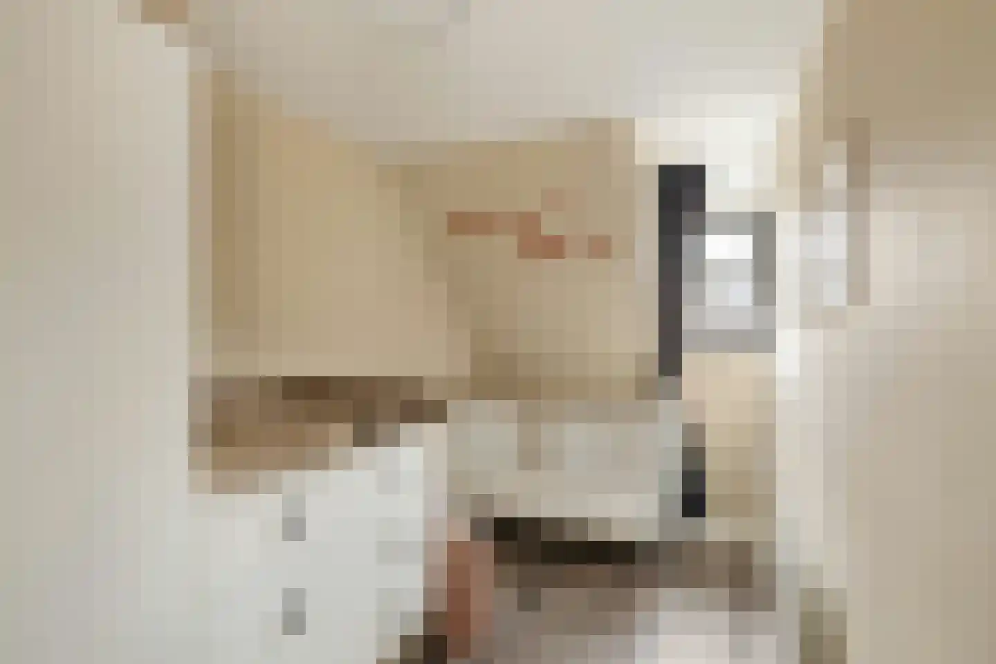 Langenoordstraat 25 Zevenbergen thumbnail 27