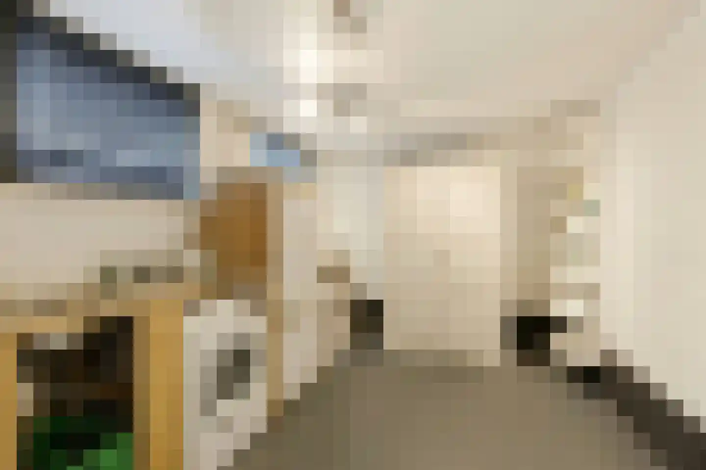 Langenoordstraat 25 Zevenbergen thumbnail 32