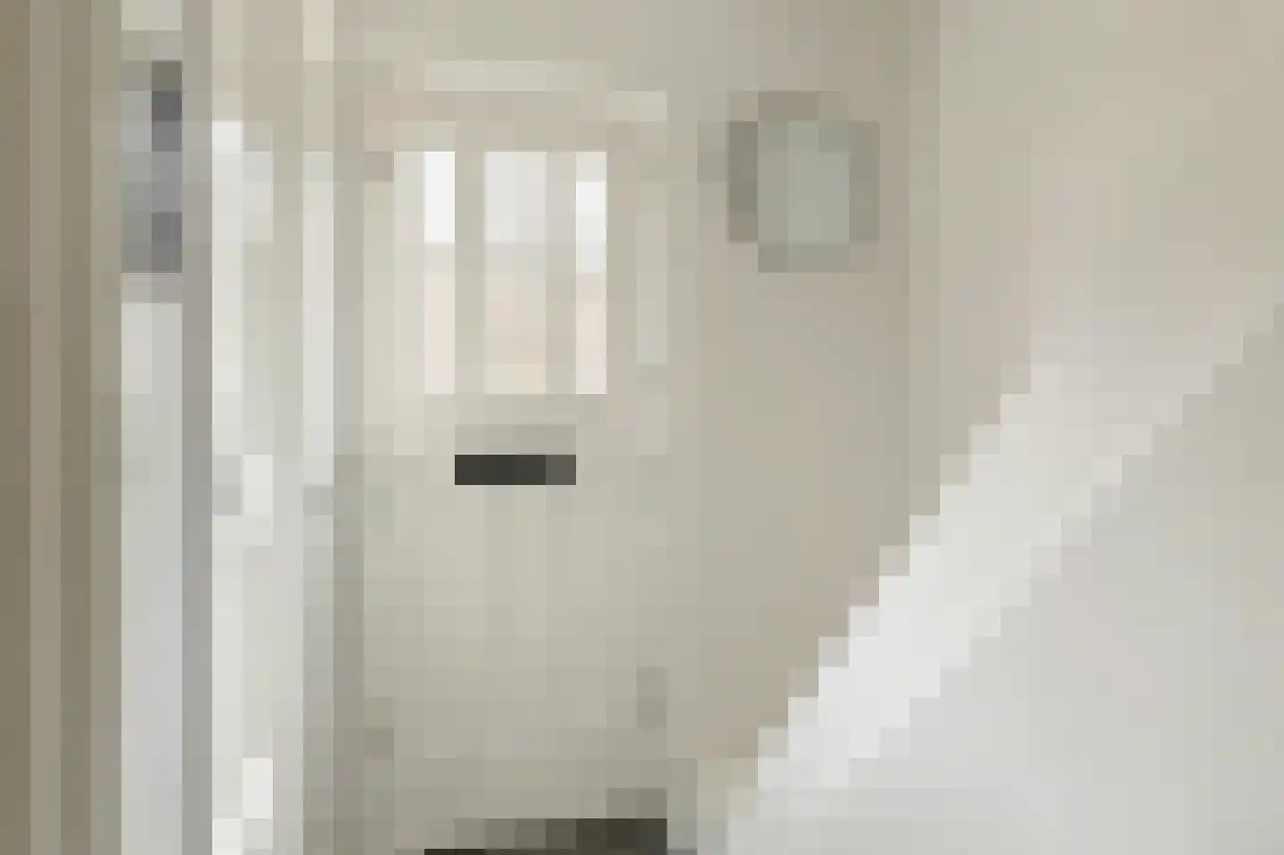 Langenoordstraat 25 Zevenbergen thumbnail 7