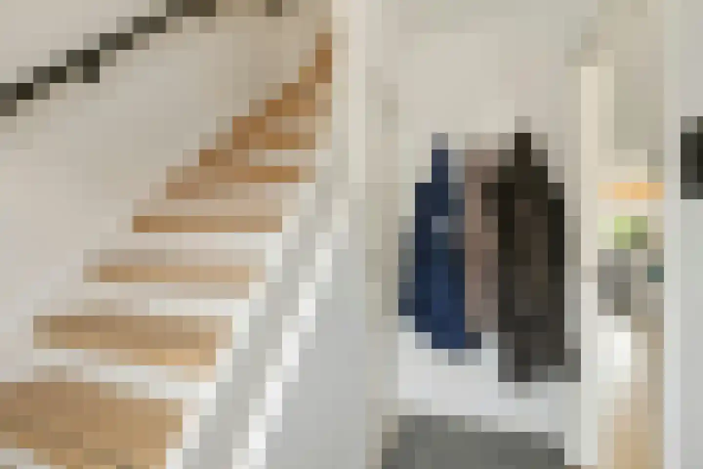 Langenoordstraat 25 Zevenbergen thumbnail 8