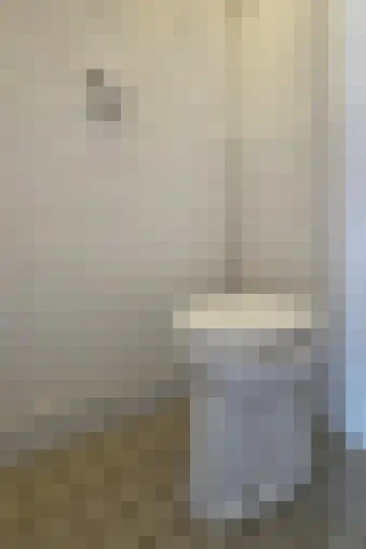 Langenoordstraat 29 Zevenbergen thumbnail 21
