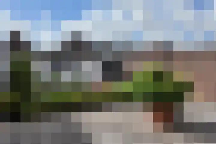Langenoordstraat 29 Zevenbergen thumbnail 35