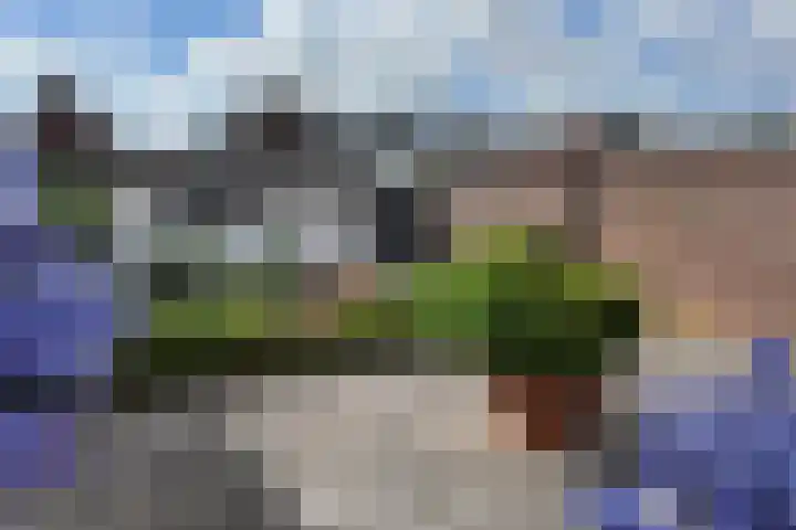 Langenoordstraat 29 Zevenbergen thumbnail 36