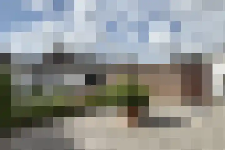 Langenoordstraat 29 Zevenbergen thumbnail 37