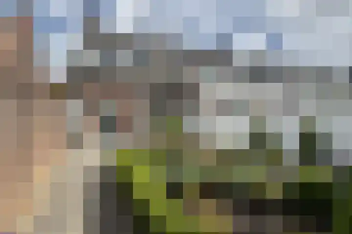 Langenoordstraat 29 Zevenbergen thumbnail 38