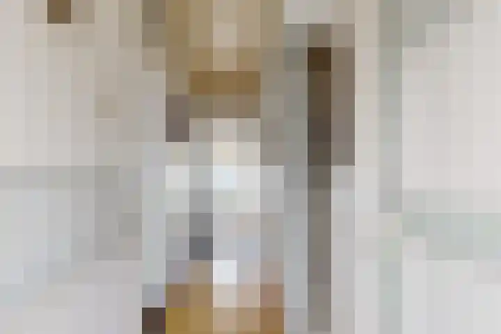 Langenoordstraat 29 Zevenbergen thumbnail 8