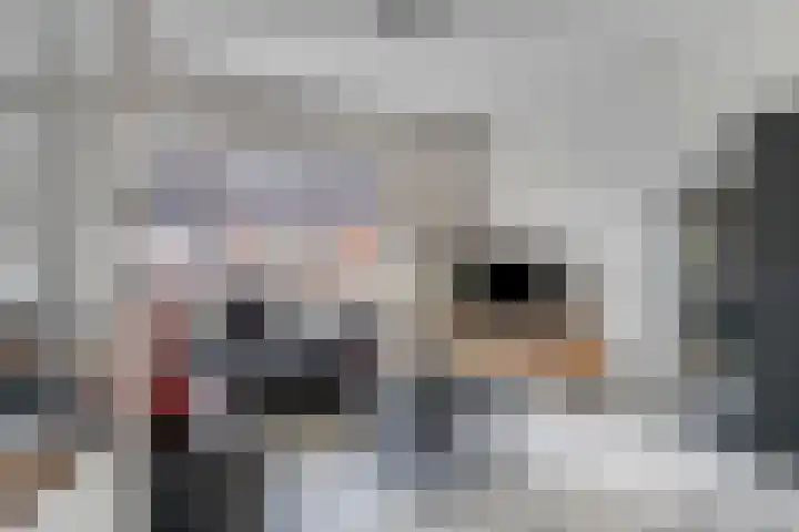 Langenoordstraat 40 Zevenbergen thumbnail 7