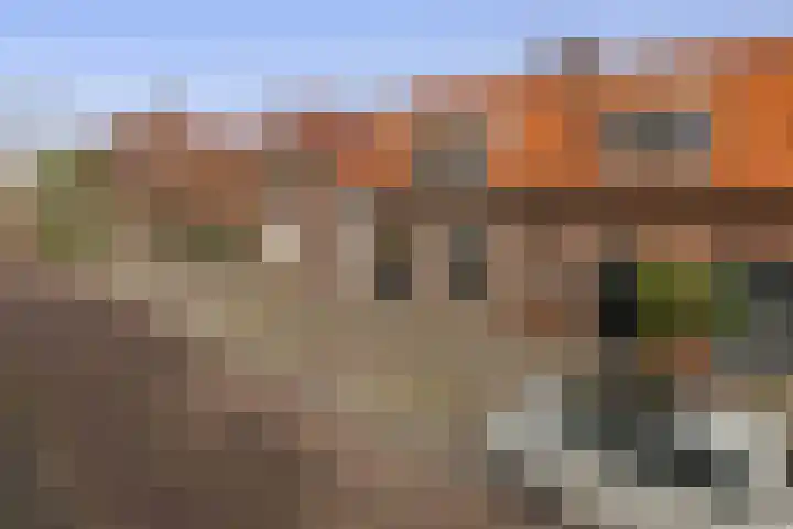 Langenoordstraat 48 Zevenbergen thumbnail 5