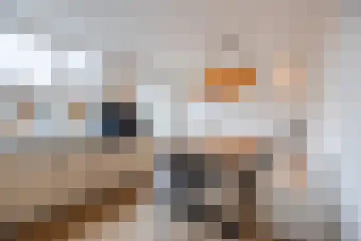 Langenoordstraat 7 Zevenbergen thumbnail 16