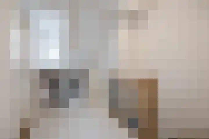 Langenoordstraat 7 Zevenbergen thumbnail 27