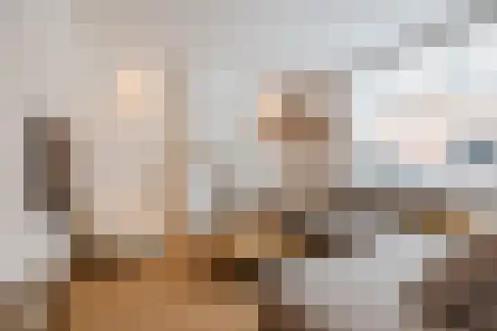 Langenoordstraat 7 Zevenbergen thumbnail 5