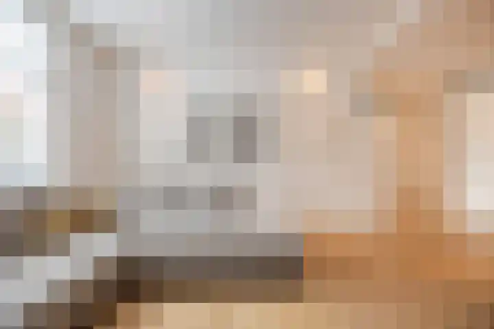 Langenoordstraat 7 Zevenbergen thumbnail 7