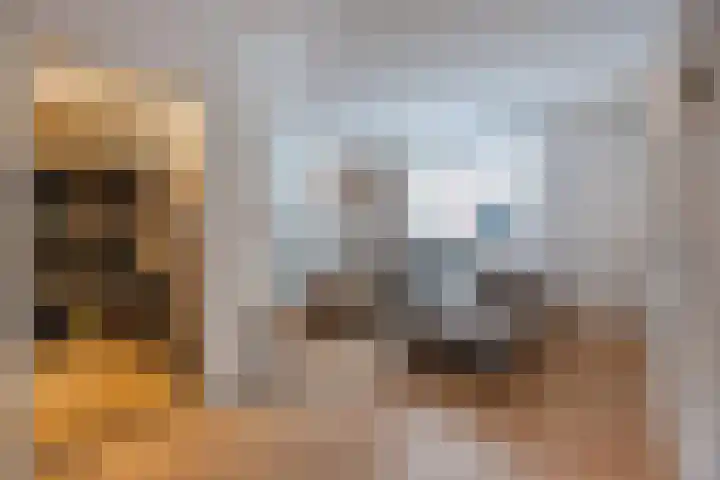 Langenoordstraat 7 Zevenbergen thumbnail 9