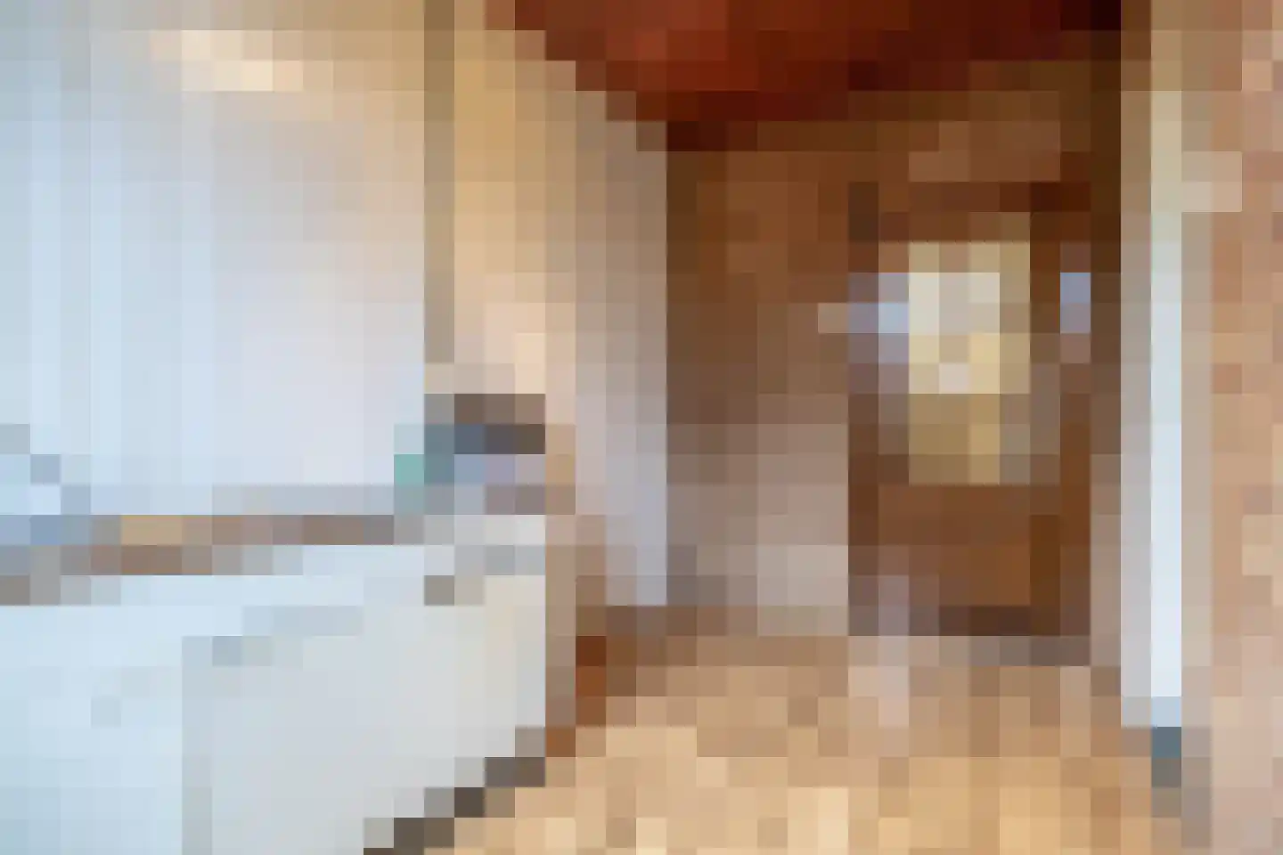 Langenoordstraat 95 Zevenbergen thumbnail 17