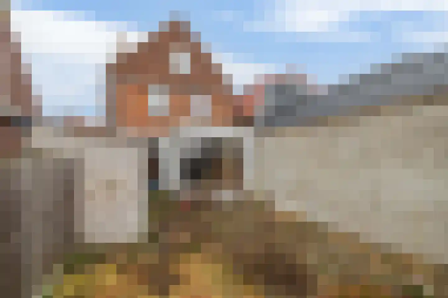 Langenoordstraat 95 Zevenbergen thumbnail 30