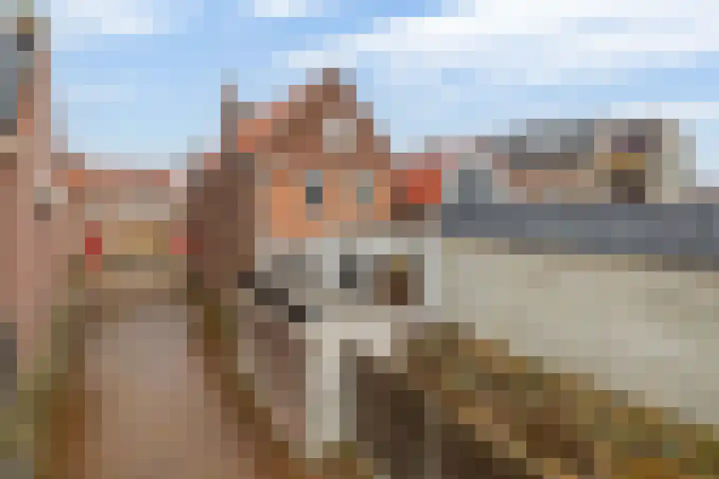 Langenoordstraat 95 Zevenbergen thumbnail 32