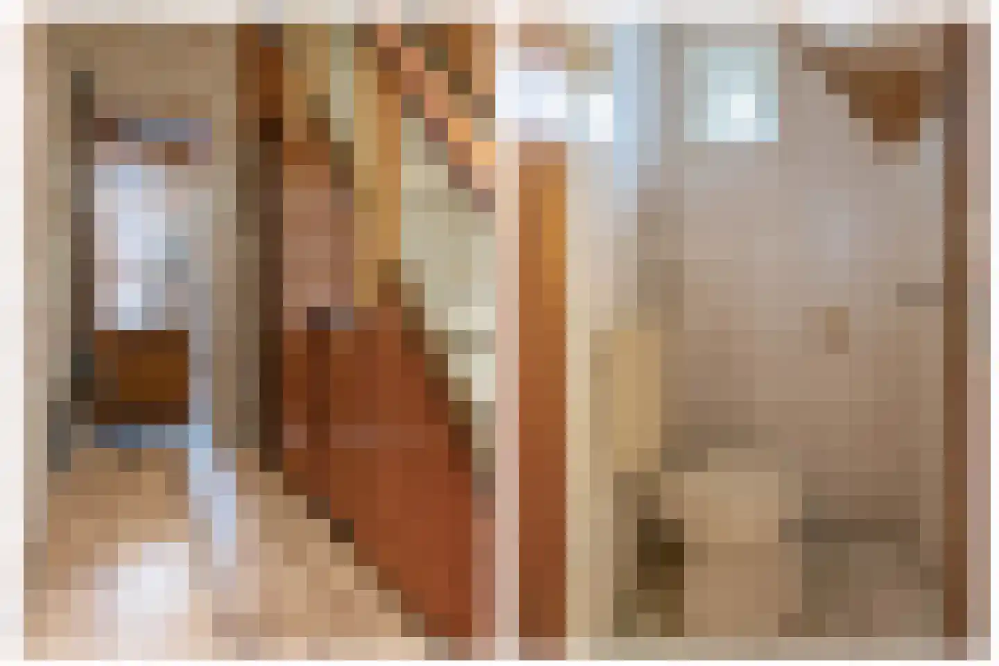Langenoordstraat 95 Zevenbergen thumbnail 8