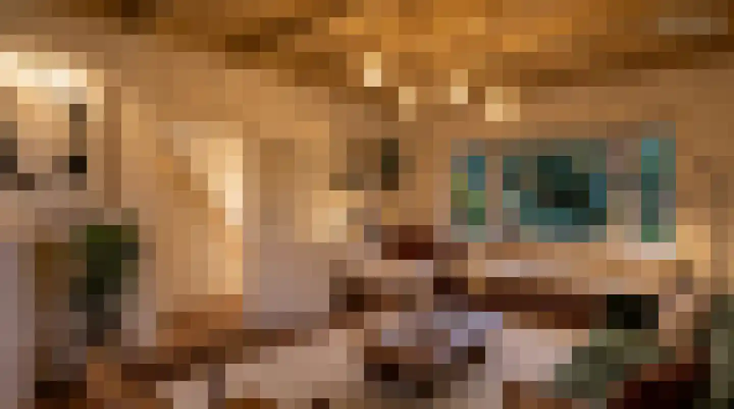 Langepad 35 A Zaandijk thumbnail 15