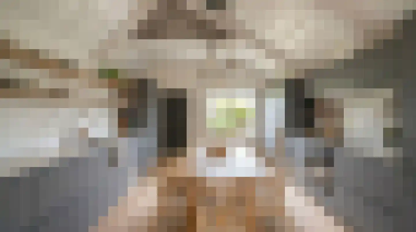 Langepad 35 A Zaandijk thumbnail 23