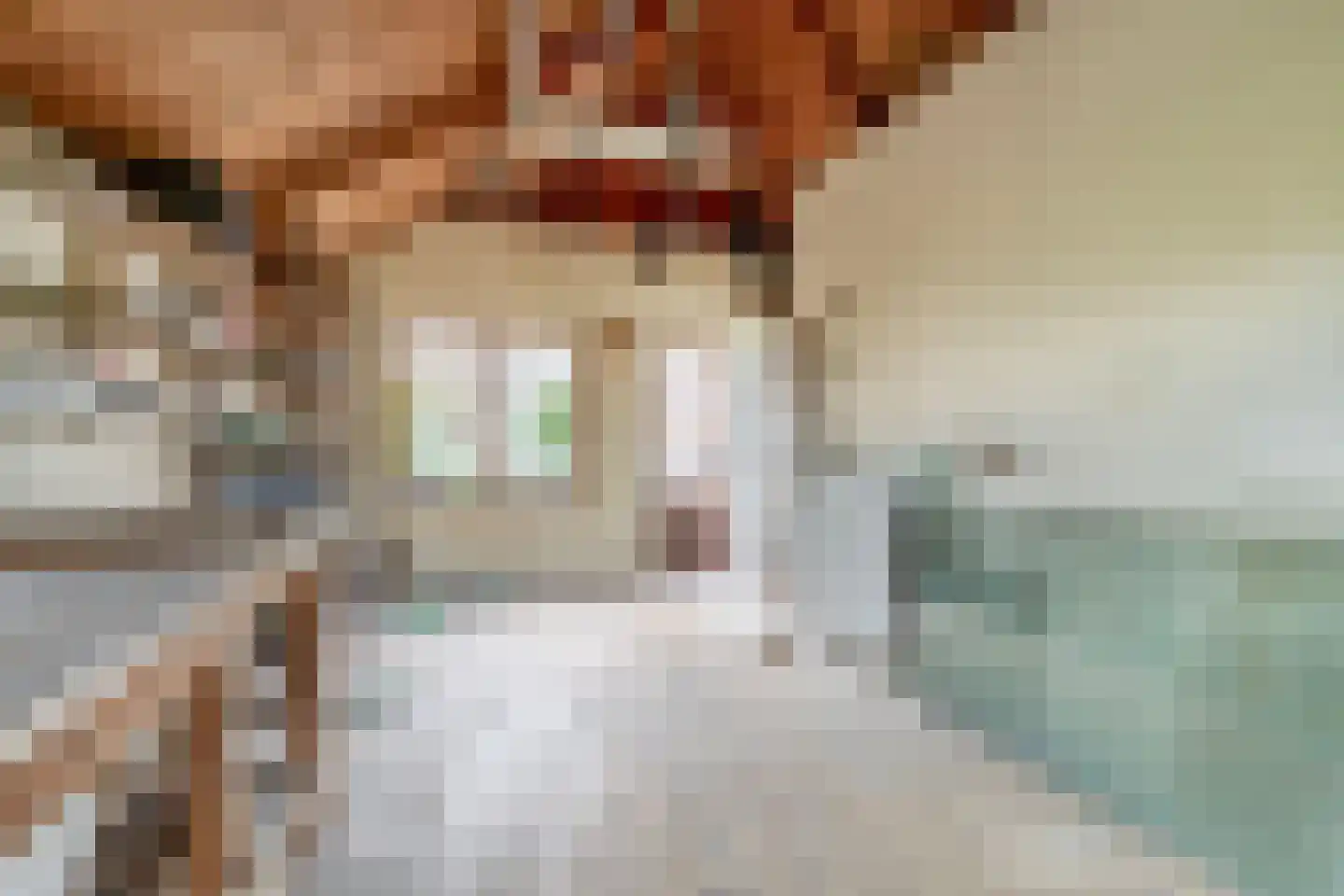 Langepad 35 A Zaandijk thumbnail 25