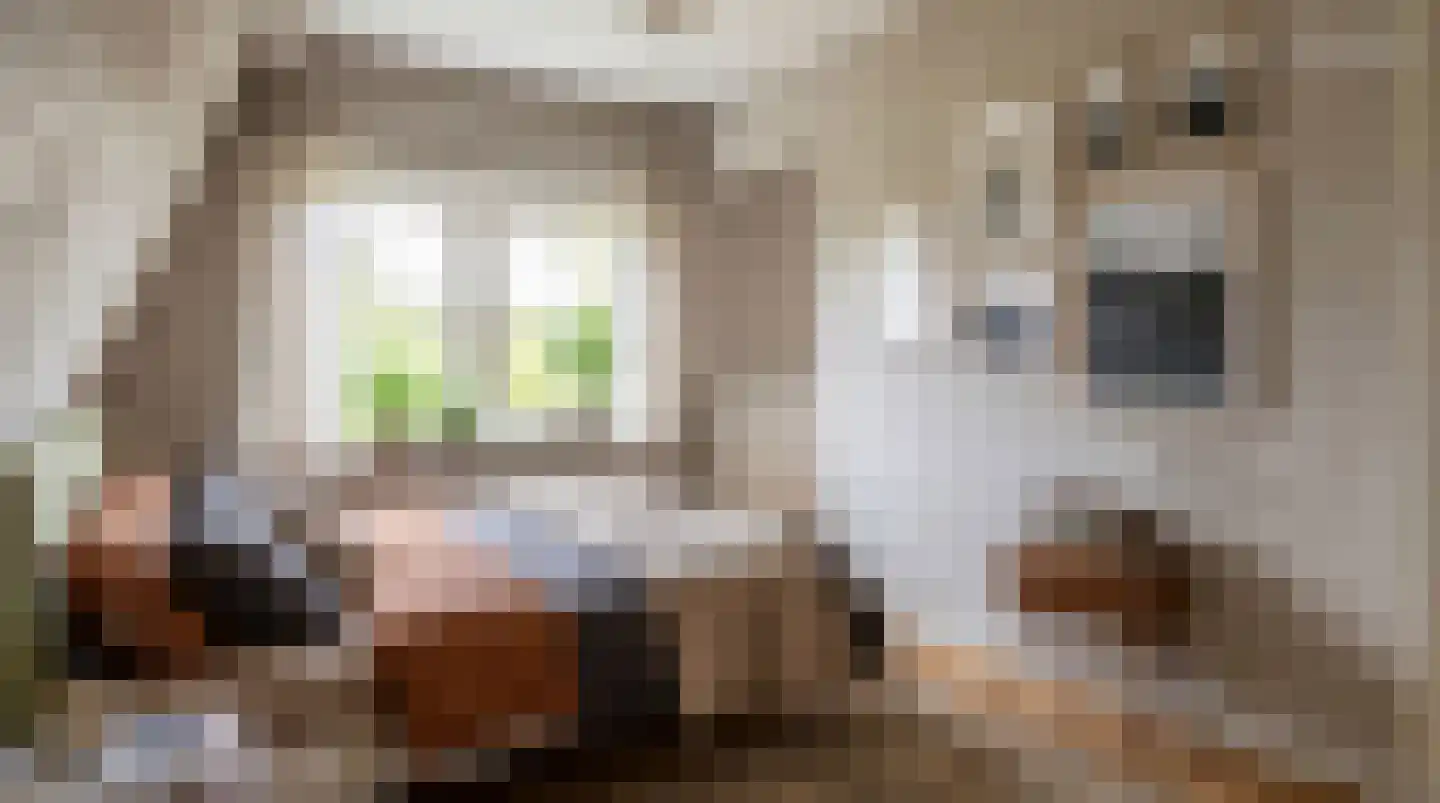 Langepad 35 A Zaandijk thumbnail 29