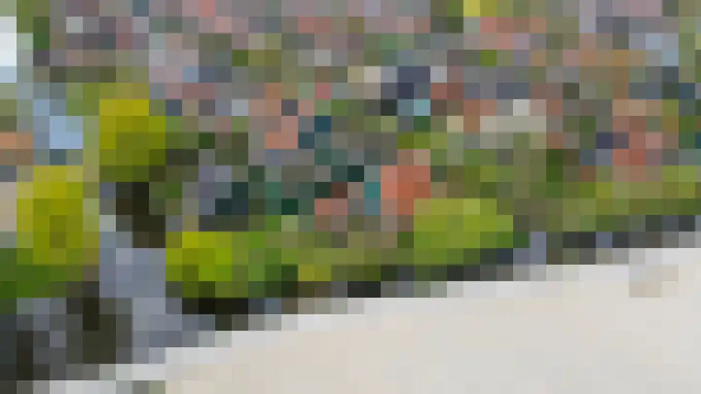 Langepad 35 A Zaandijk foto 3