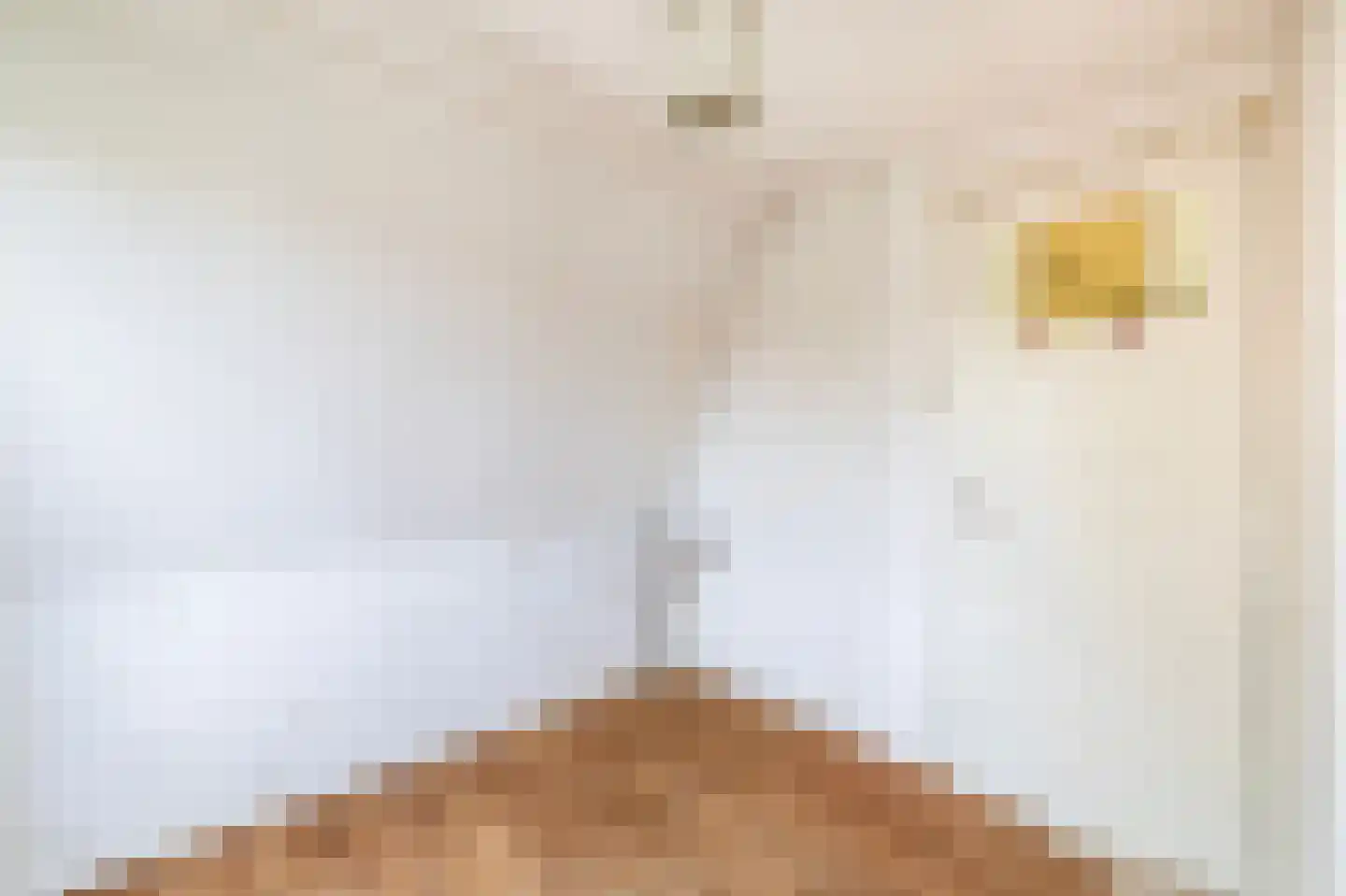 Langepad 35 A Zaandijk thumbnail 32