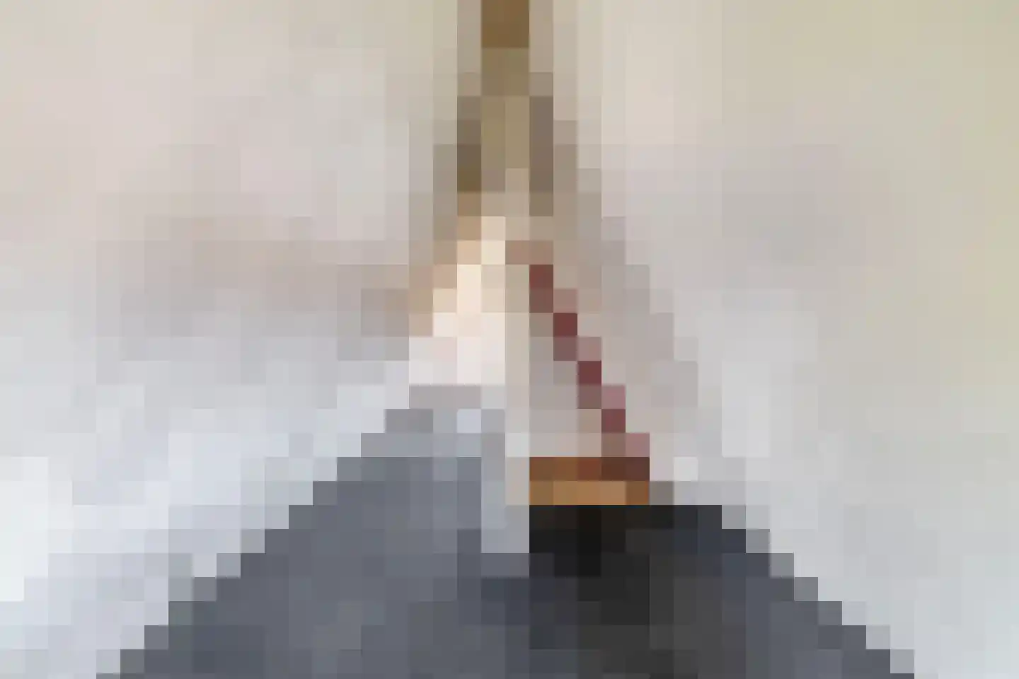 Langepad 35 A Zaandijk thumbnail 36