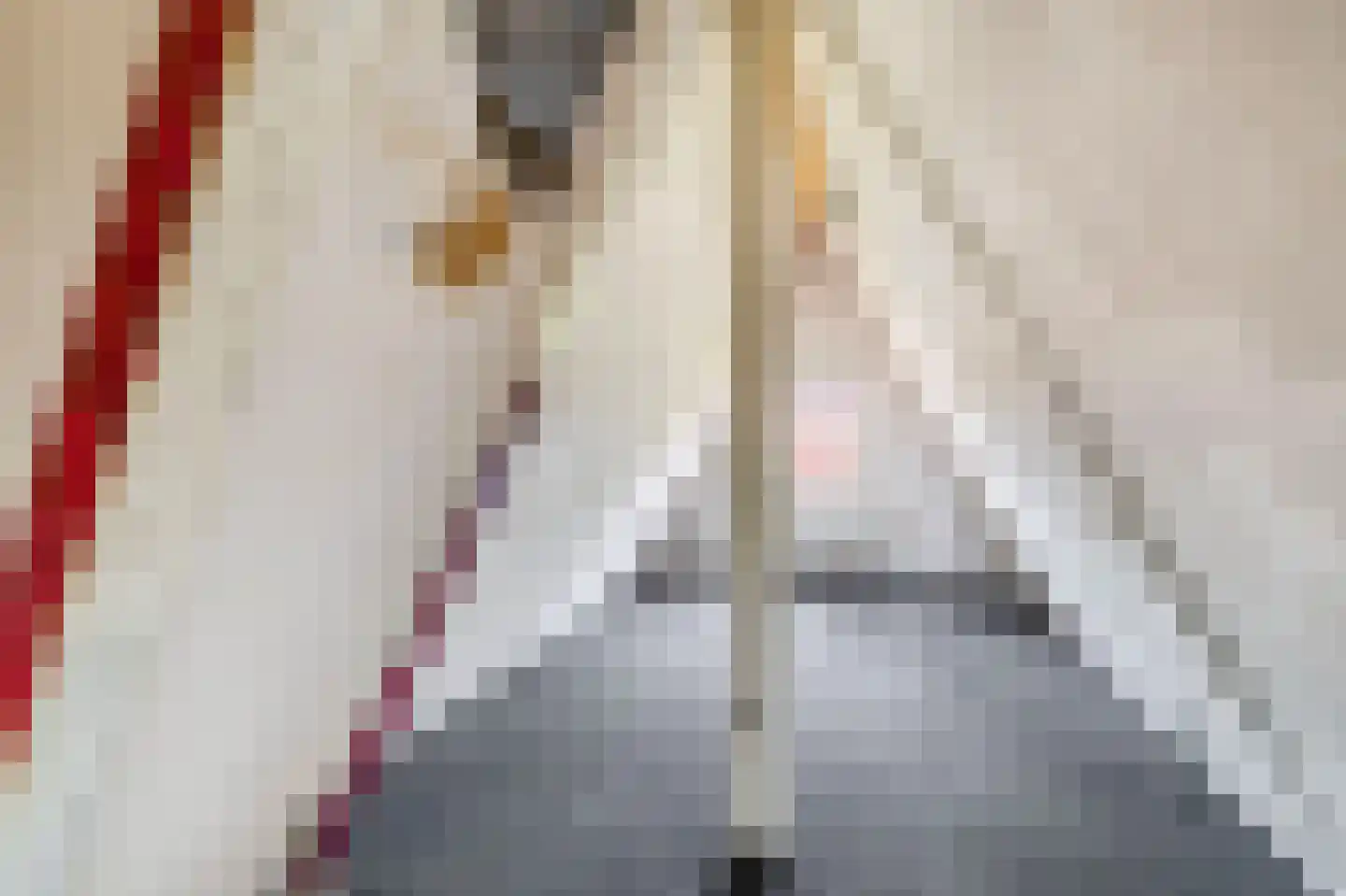 Langepad 35 A Zaandijk thumbnail 37