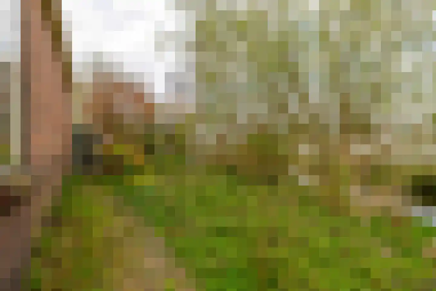Langepad 35 A Zaandijk thumbnail 40