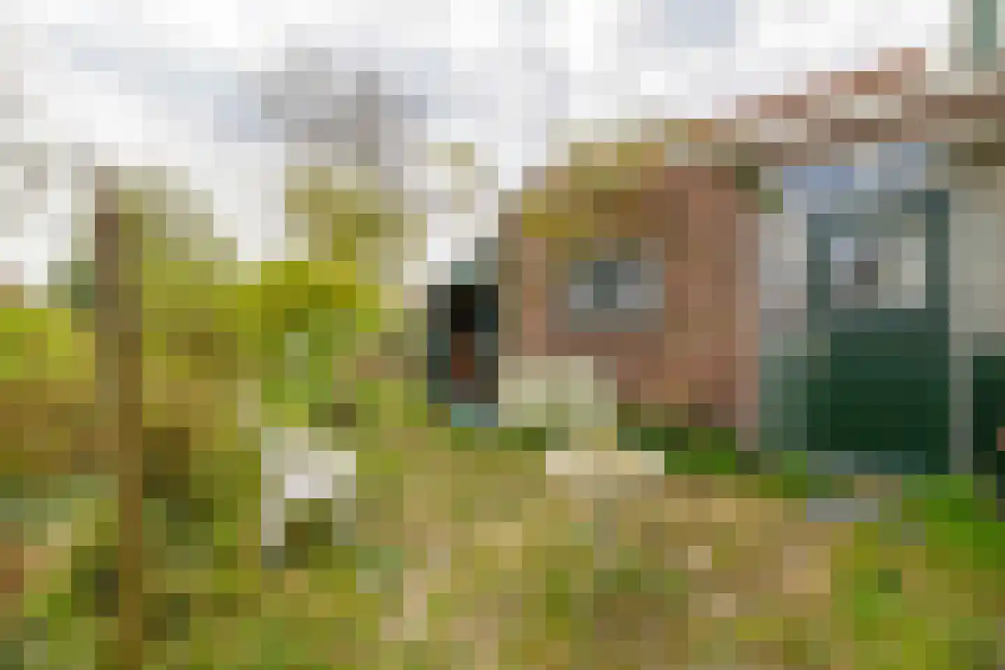 Langepad 35 A Zaandijk thumbnail 41