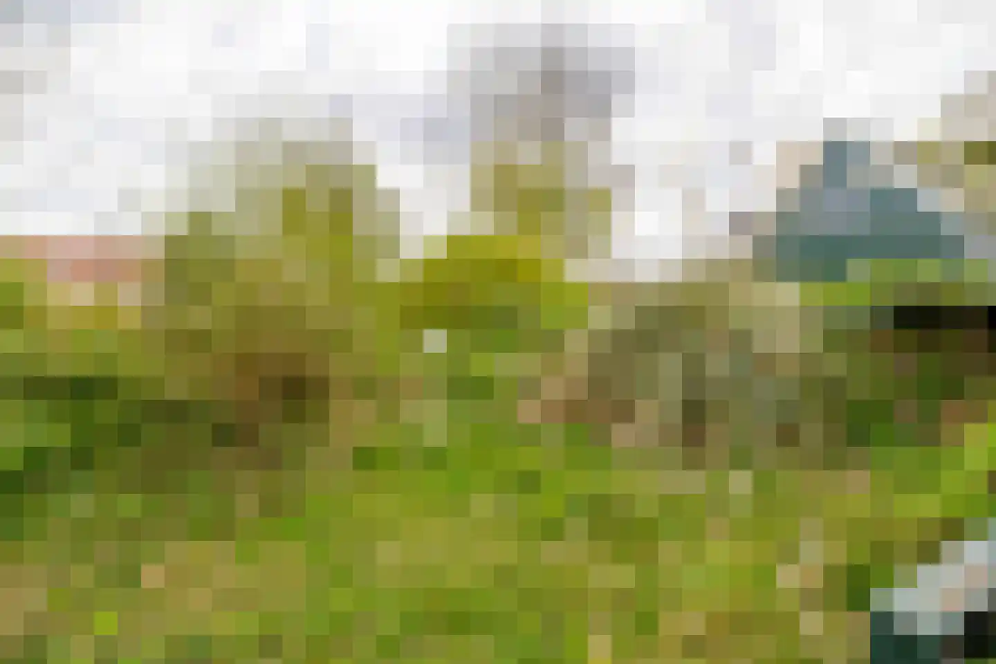 Langepad 35 A Zaandijk thumbnail 42