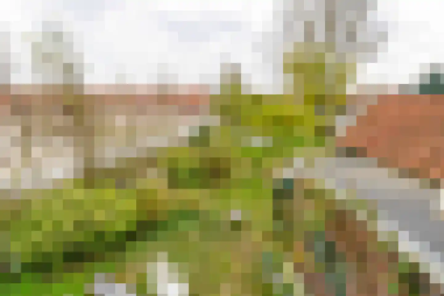Langepad 35 A Zaandijk thumbnail 44
