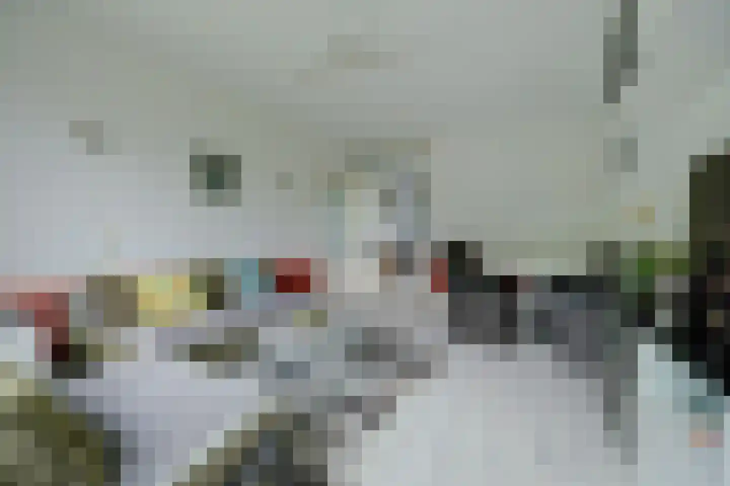 Langeplaat 103 Rozenburg thumbnail 13