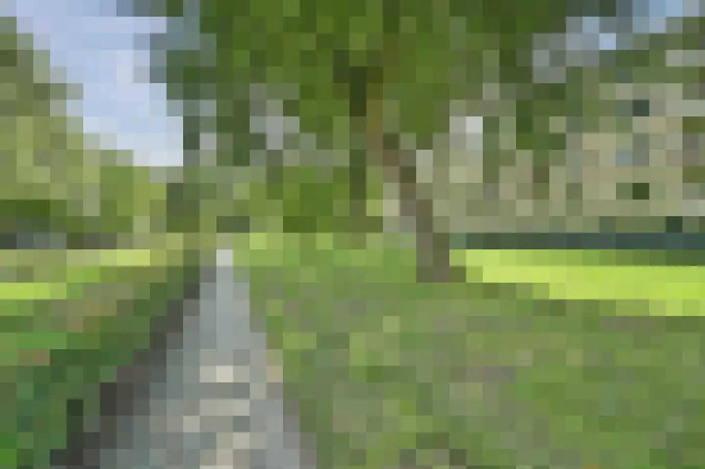 Langeplaat 103 Rozenburg thumbnail 31