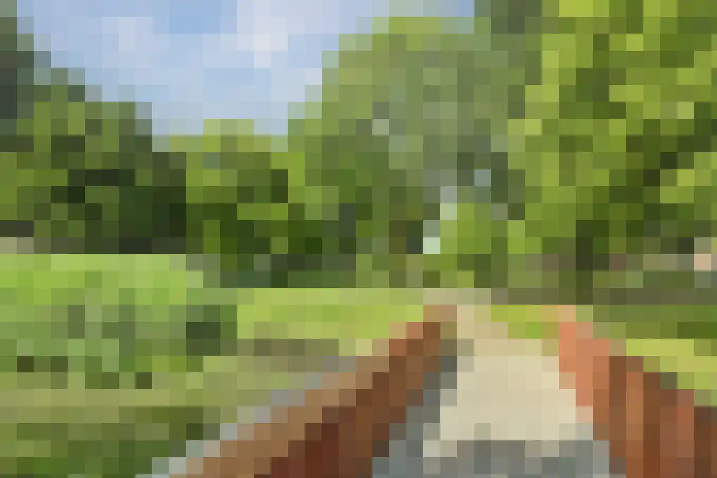 Langeplaat 103 Rozenburg thumbnail 32