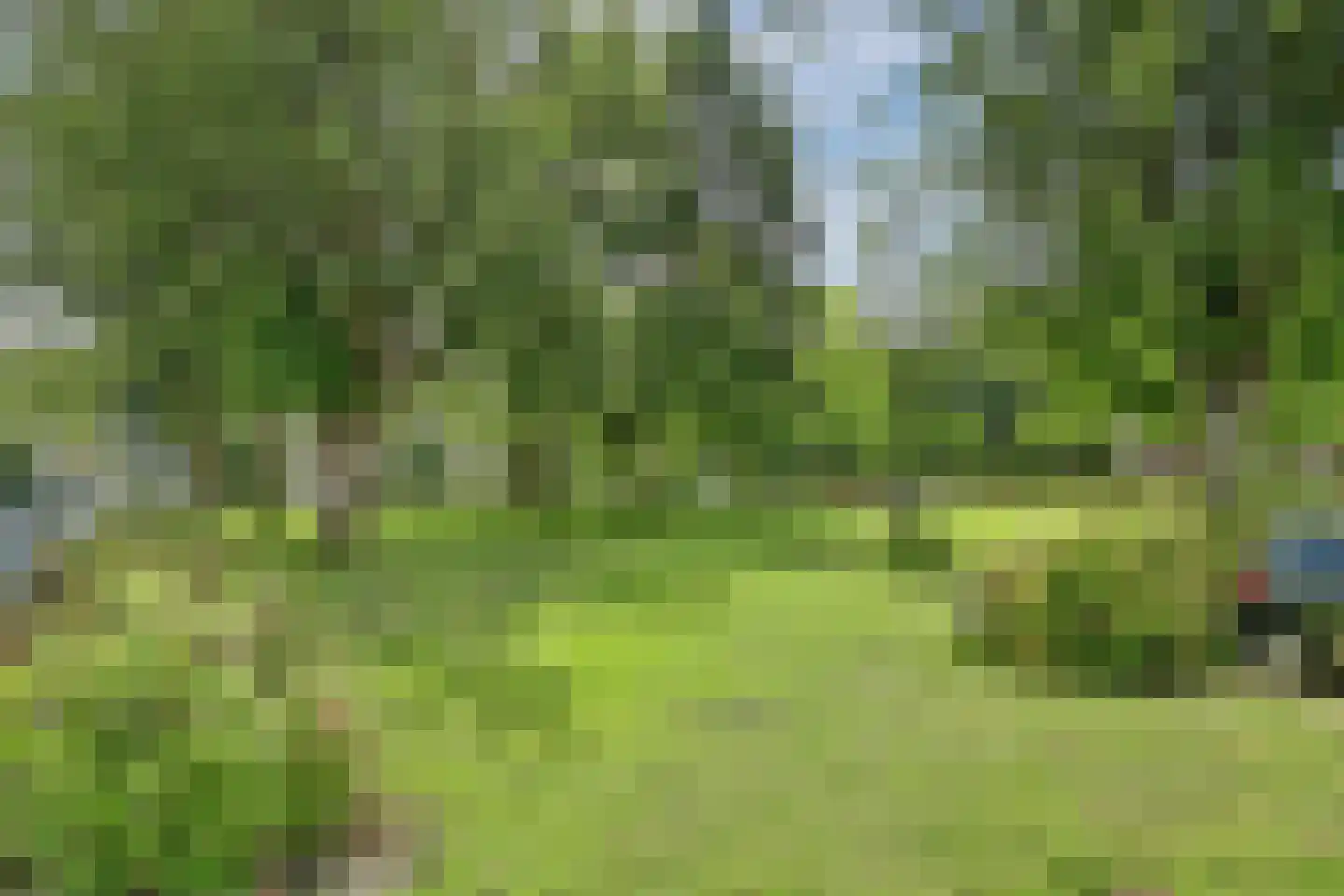 Langeplaat 103 Rozenburg thumbnail 33