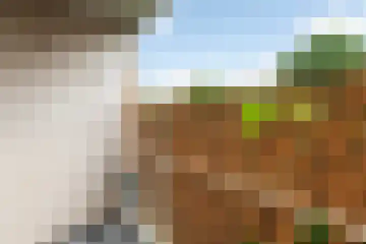 Langeplaat 265 Rozenburg thumbnail 10