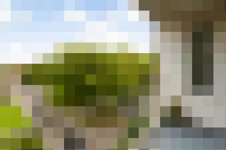 Langeplaat 265 Rozenburg thumbnail 11