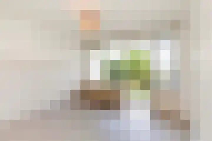 Langeplaat 265 Rozenburg thumbnail 13